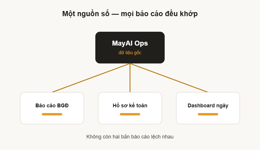 MayAI Insight — minh hoạ nguyên tắc