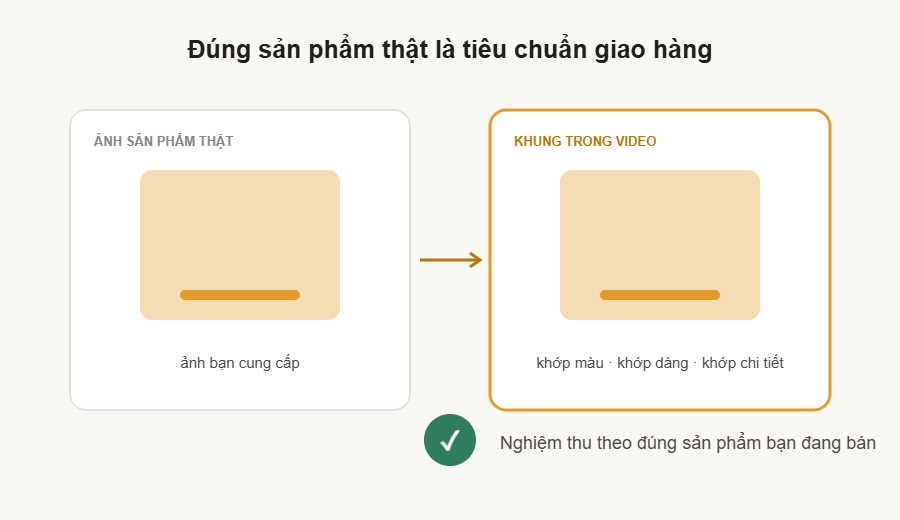 MayAI Studio — minh hoạ nguyên tắc